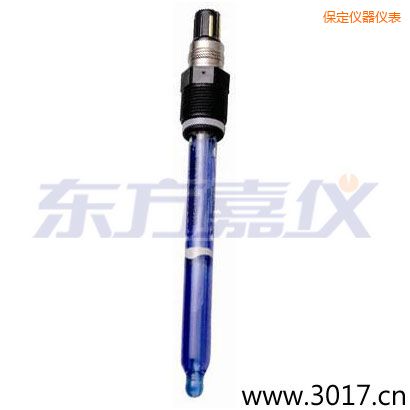 保定測(cè)純水,超純水 PH電極