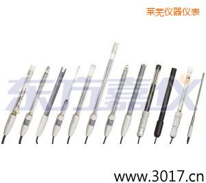 萊蕪pH電極