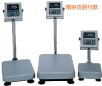 防水臺稱,60kg,5g
