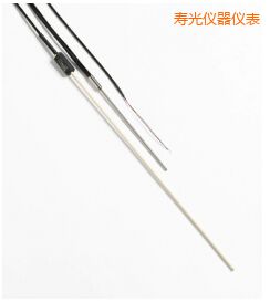 壽光R 型和 S 型標準熱電偶