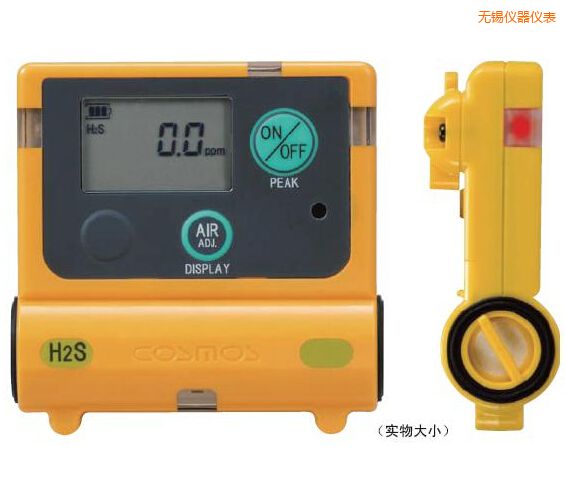 無錫硫化氫計