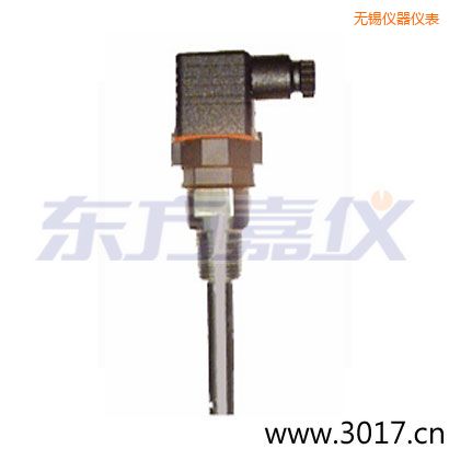 無錫含有溫度的兩線電導(dǎo)率電極