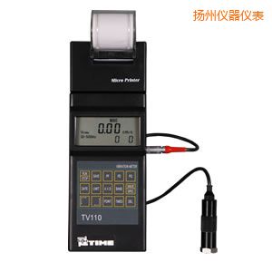 揚(yáng)州時代便攜式測振儀