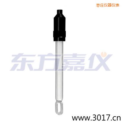 棗莊玻璃外殼無溫補兩線電導(dǎo)率電極