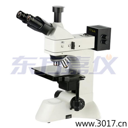 ͸��������@΢�R